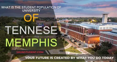 UT Memphis Student Body: Numbers and Diversity Unveiled