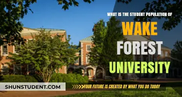 Exploring Wake Forest University's Student Population