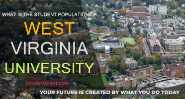 Unveiling West Virginia University's Student Body: Numbers and Diversity