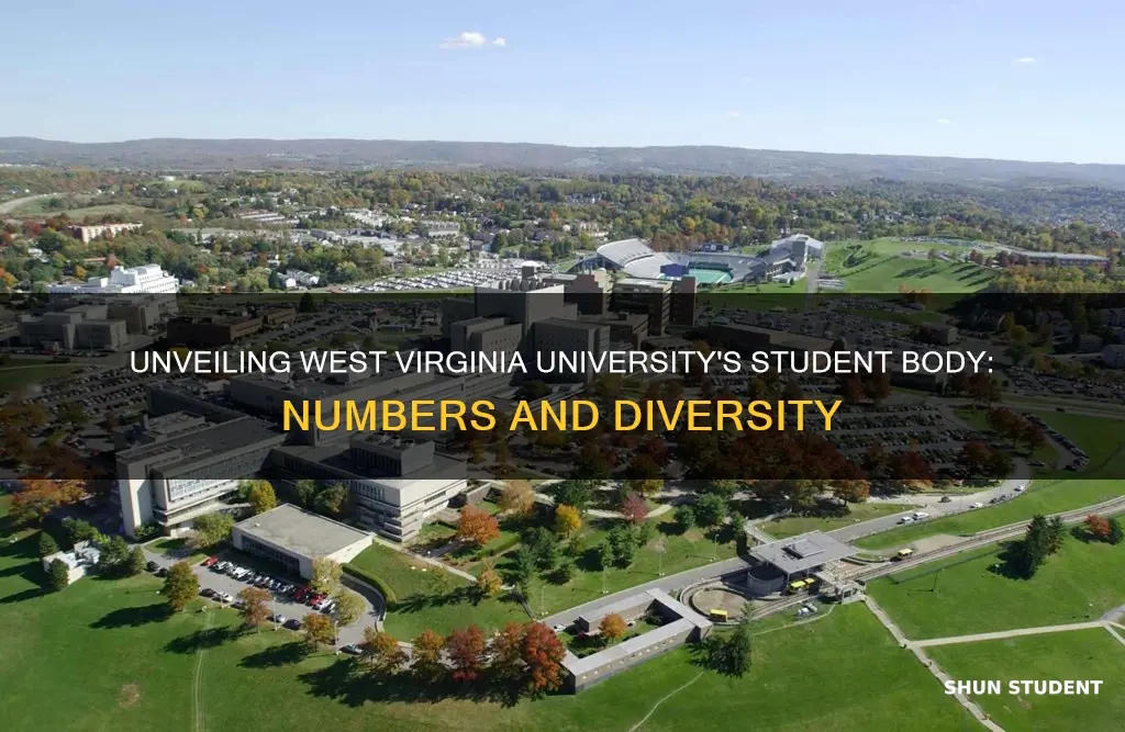 what is the student population of west virginia university