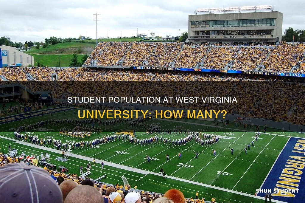 what is the student population of west virginia university