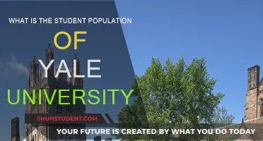 Unveiling Yale's Student Body: A Look at Diversity and Demographics