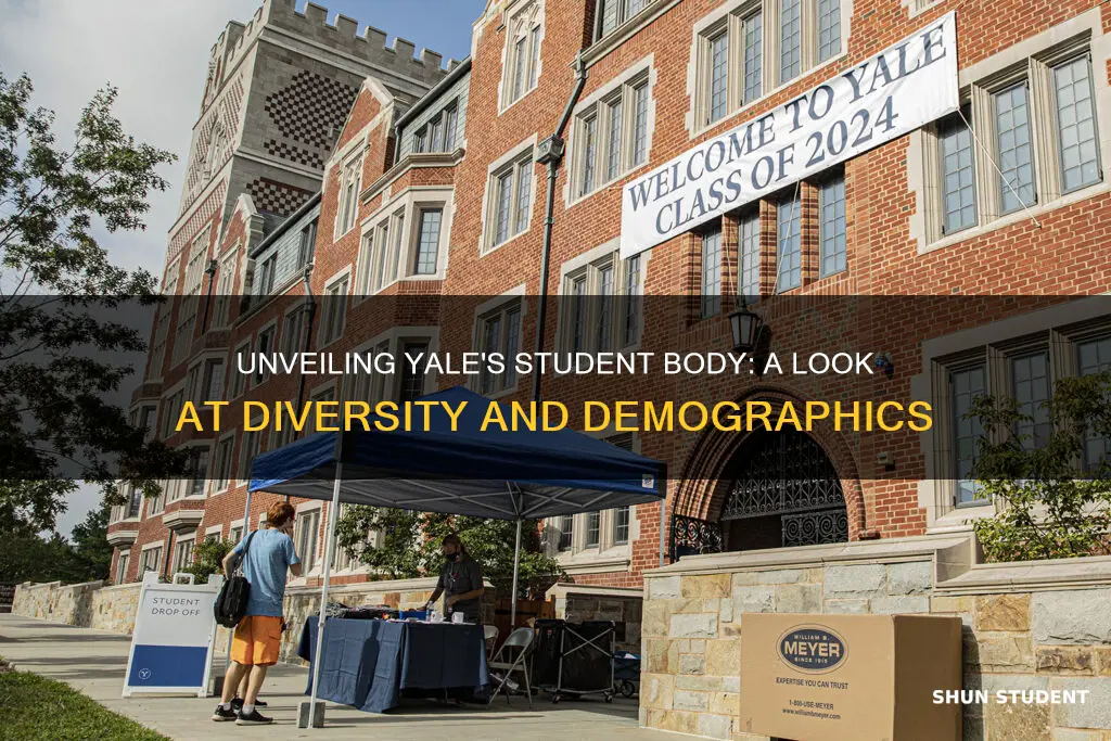 what is the student population of yale university