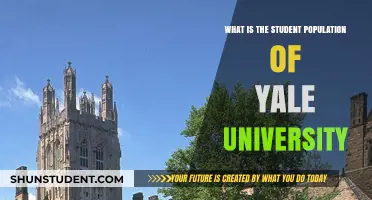 Yale University's Student Population: A Comprehensive Overview