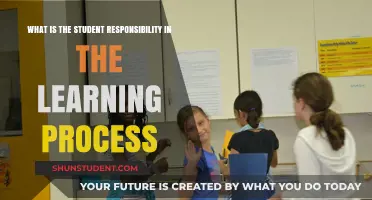 Empowering Students: Ownership and Responsibility in Learning