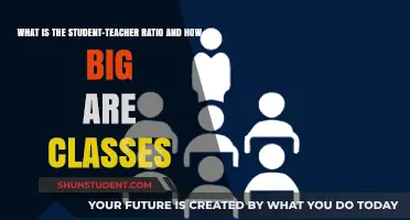 Understanding Student-Teacher Ratios: Class Sizes and Their Impact Explained