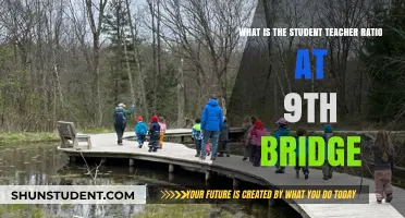 Understanding Student-Teacher Ratio at 9th Bridge School