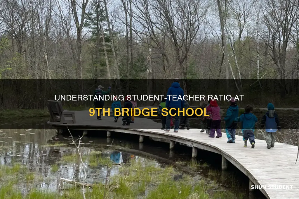 what is the student teacher ratio at 9th bridge