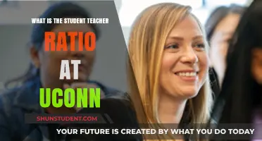 Understanding UConn's Student-Teacher Ratio: What You Need to Know