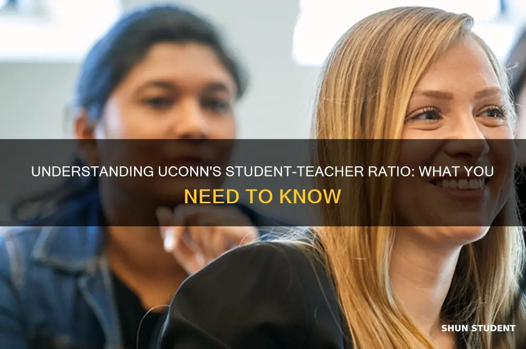 what is the student teacher ratio at uconn