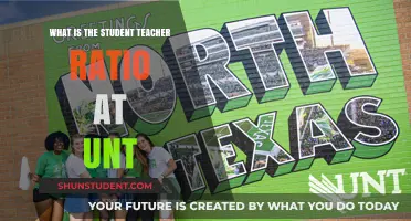 Understanding the Student-Teacher Ratio at the University of North Texas