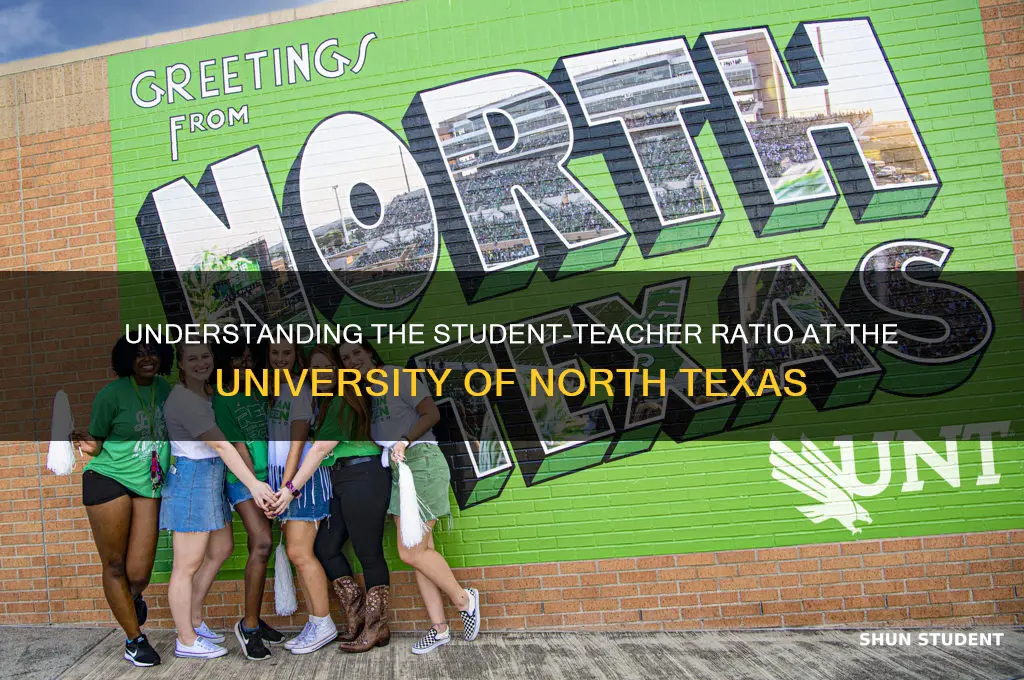 what is the student teacher ratio at unt
