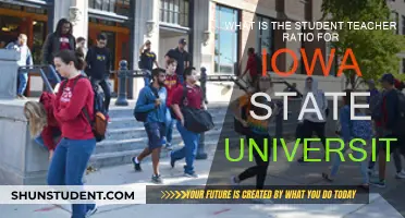 Iowa State University's Student-Teacher Ratio: A Comprehensive Overview