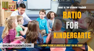 Understanding Kindergarten Student-Teacher Ratios: Impact on Early Learning