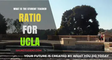 UCLA's Student-Teacher Ratio: Understanding Class Sizes and Academic Impact