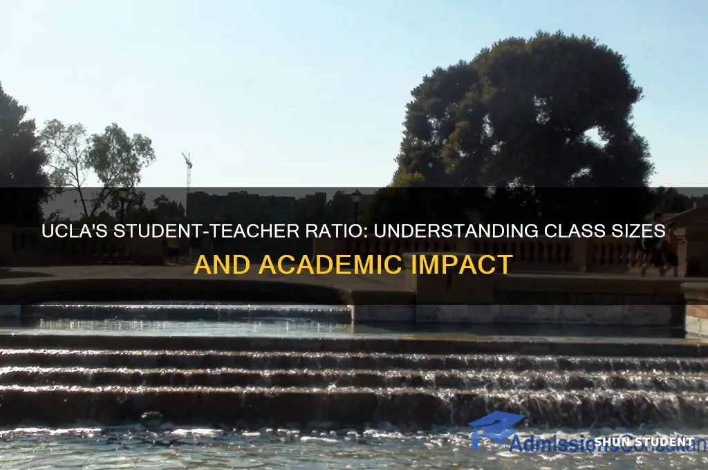 what is the student teacher ratio for ucla