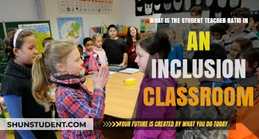 Understanding Student-Teacher Ratios in Inclusive Classrooms: A Comprehensive Guide
