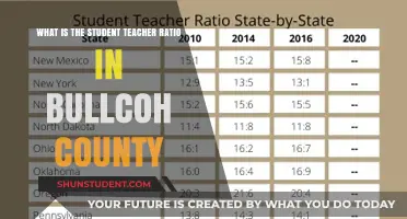 Bullcoh County Schools: Understanding the Student-Teacher Ratio Impact