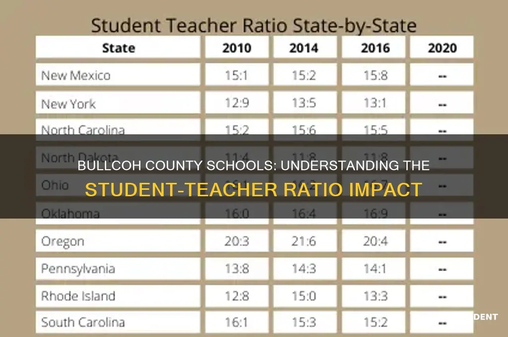 what is the student teacher ratio in bullcoh county