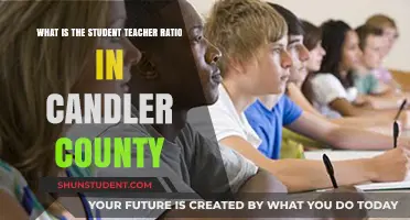 Candler County Schools: Understanding the Student-Teacher Ratio Impact