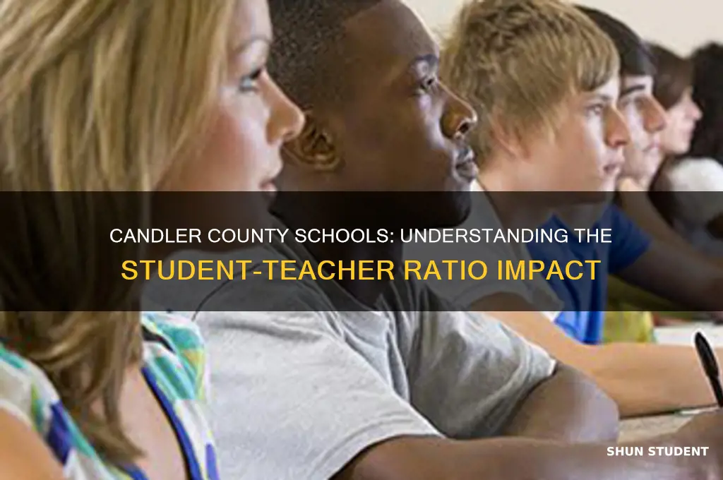 what is the student teacher ratio in candler county