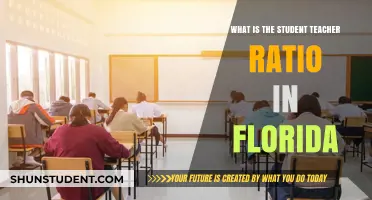 Understanding Florida's Student-Teacher Ratio: A Comprehensive Overview