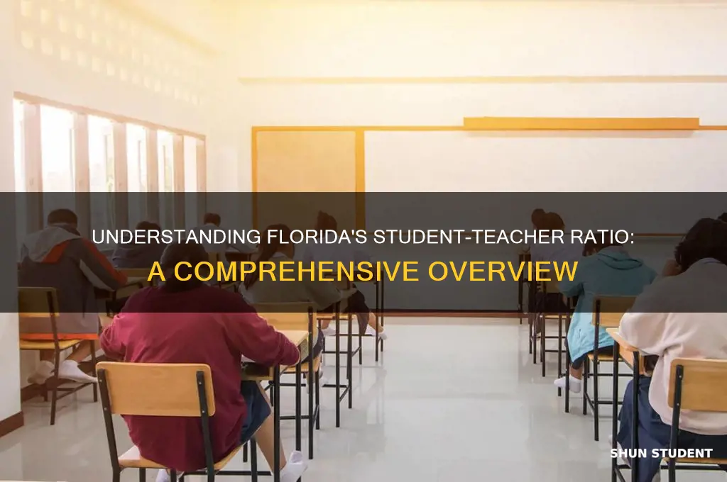 what is the student teacher ratio in florida