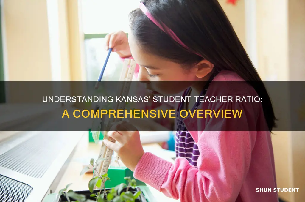 what is the student teacher ratio in kansas