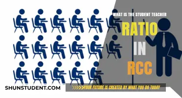 Understanding RCC's Student-Teacher Ratio: A Comprehensive Overview