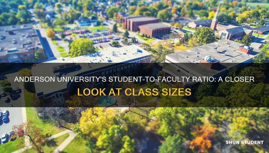 what is the student to faculty ratio at anderson university