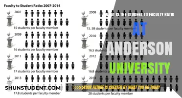 Anderson University: Student-Faculty Ratio Insights
