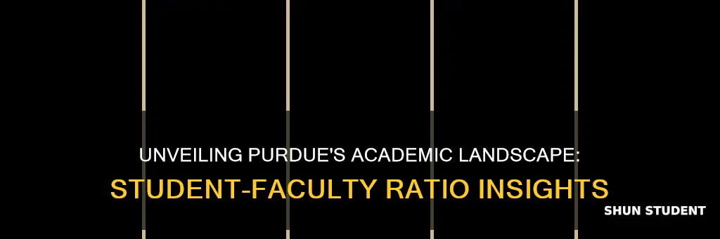 what is the student to faculty ratio at purdue university