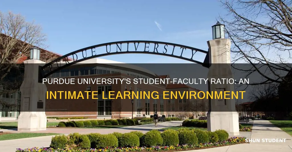 what is the student to faculty ratio at purdue university