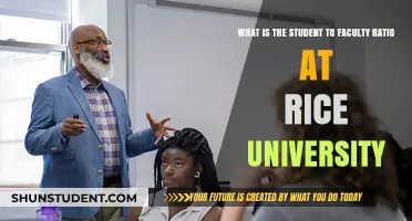 Rice University: Student-Faculty Ratio and Its Benefits