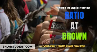 Understanding Brown University's Student-to-Teacher Ratio: A Comprehensive Overview