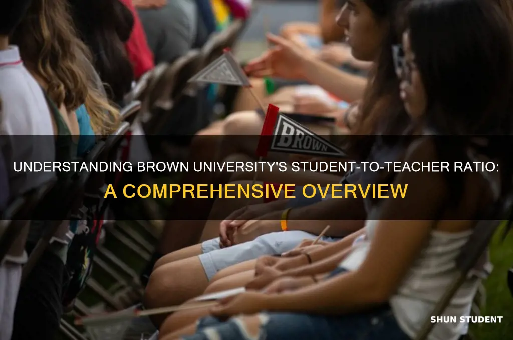 what is the student to teacher ratio at brown