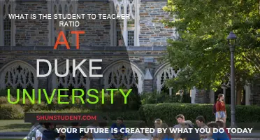 Duke University's Student-Teacher Ratio: Unveiling the Academic Experience