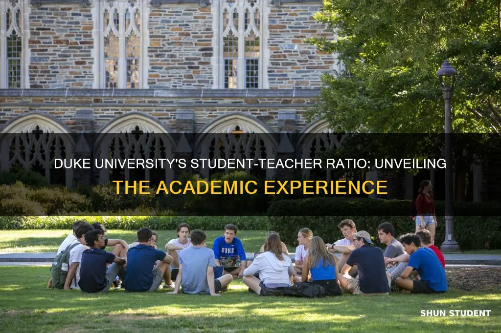 what is the student to teacher ratio at duke university