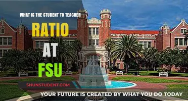 Understanding FSU's Student-to-Teacher Ratio: What You Need to Know
