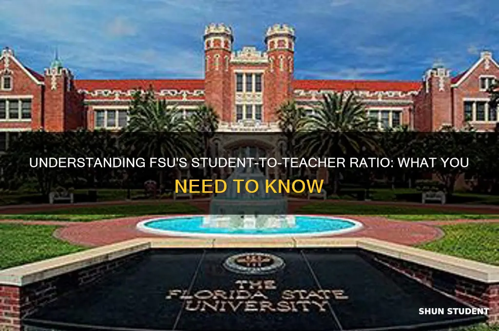 what is the student to teacher ratio at fsu
