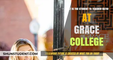 Grace College Student-to-Teacher Ratio: What You Need to Know