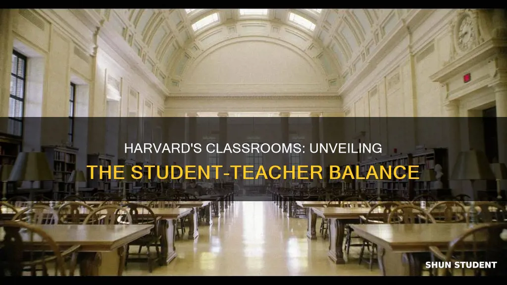 what is the student to teacher ratio at harvard university