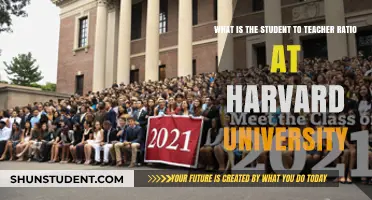 Harvard University: Student-Teacher Ratio Explained