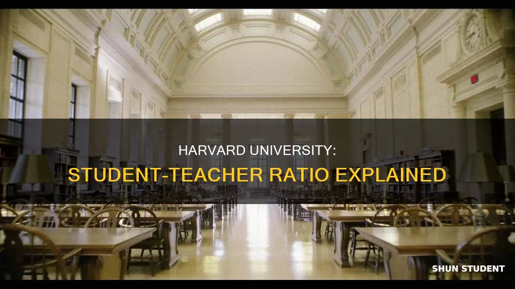 what is the student to teacher ratio at harvard university