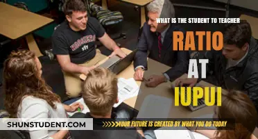 IUPUI Student-Teacher Ratio: What You Need to Know