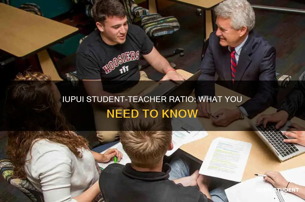 what is the student to teacher ratio at iupui