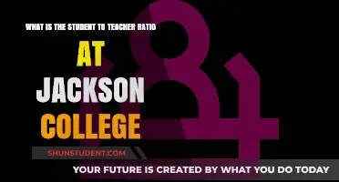 Jackson College's Student-to-Teacher Ratio: What You Need to Know
