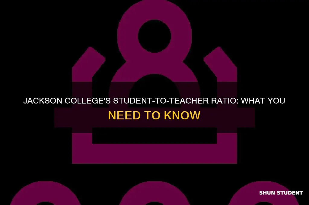 what is the student to teacher ratio at jackson college