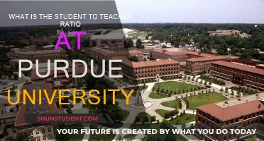 Unveiling Purdue's Classroom Dynamics: Student-Teacher Ratio Insights