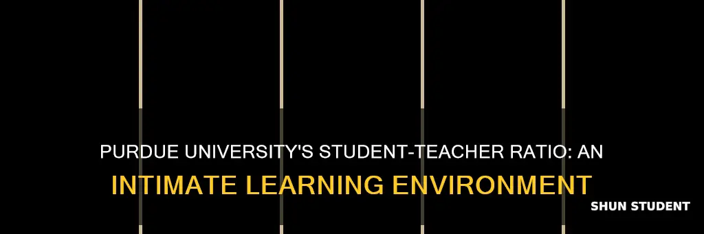 what is the student to teacher ratio at purdue university